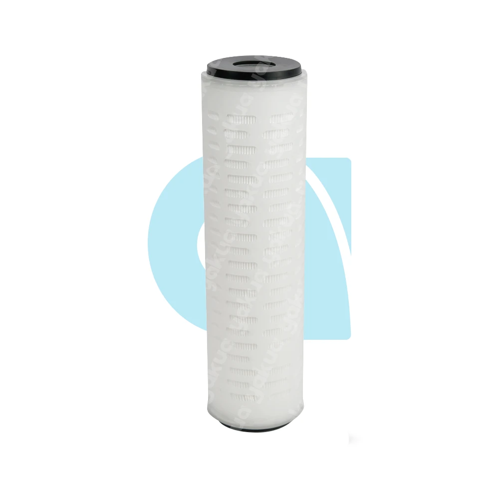 Filtro-sedimento-plisado-AR0045EF1A Filtro cartucho de sedimentos plisado Absoluto 2.5" × 10" – 0.45 MIC - Imagen 1